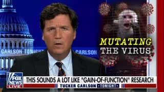 Tucker Carlson: The Veritas Pfizer Videos