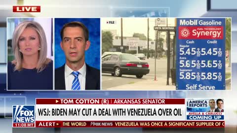 Dictators can 'smell the weakness' from Biden - Tom Cotton