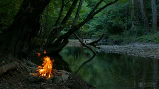 FOREST CAMPFIRE BY THE RIVER: Relaxing fire & Soothing River