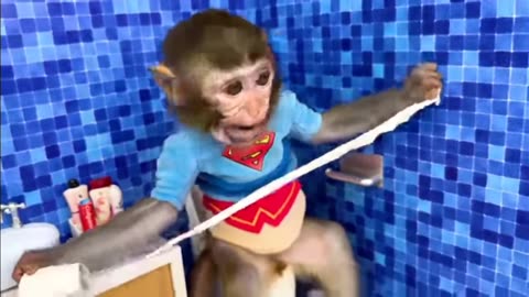 Monkey Baby Bon Bon oes to the toilet and plays part3