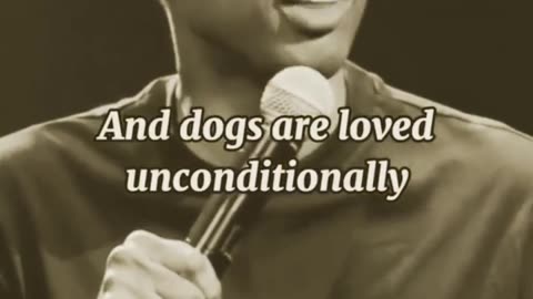 only women children and dogs are loved unconditionally