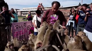 Thai banquet served for monkeys to boost tourism