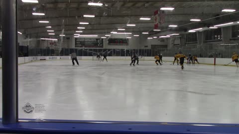 Chicago Presidents Cup Tournament Bantam C Hockey Game 3 of 4