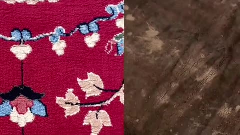Cleaning dirty Rugs