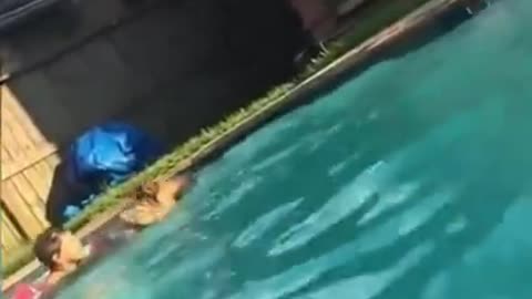 Dog saves baby from drowning