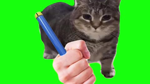 Cat With Groan Tube | Green Screen