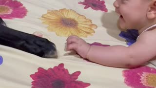 Baby and Dog Have Adorable First Encounter