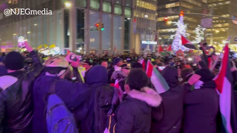 Pro-Palestine protesters clash with NYPD near Christmas tree lighting
