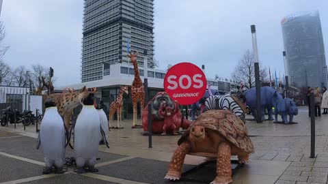 COP15 UN biodiversity summit Animals speak up to demand a #NewDeal4Nature