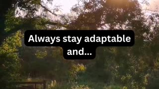 Always stay adaptable