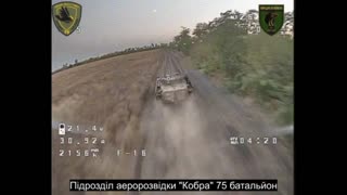 🔥 Ukraine Russia War | 75th Cobra Battalion Drone vs. Russian BMP | RCF