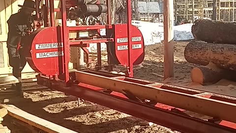 Edging pine boards on the sawmill