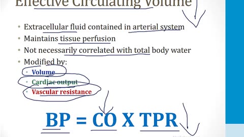 Renal - 1. Embryology, Anatomy and Physiology - 3.Renal Physiology I