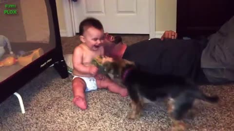 Funny Babies Laughing Hysterically at Dogs Compilation_p1
