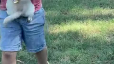 Kids run home after school to see their puppy