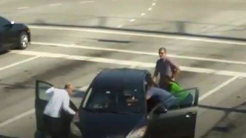 Public Heroes Save Woman from a Potentialy Fatal Highway Incident