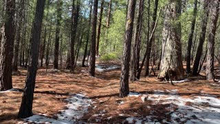 Exploring Deschutes National Forest – Whychus Creek – Central Oregon