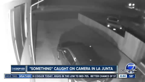 Real "Alien" caught on camera in La Junta