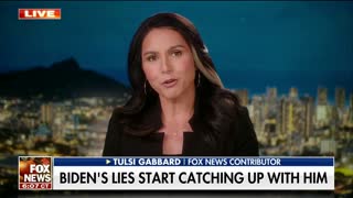 Tulsi Gabbard: The liberal media is on full damage control