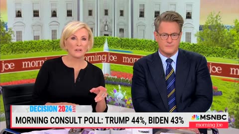 ‘Morning Joe’ Host Rages At NYT Over Polls Showing Biden Way Behind Trump