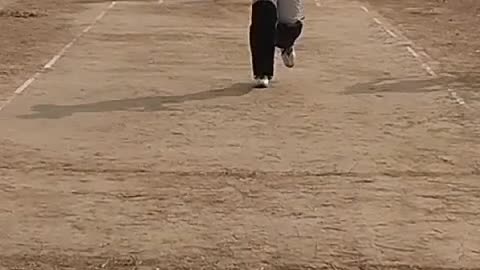 Cricket bating and hitting