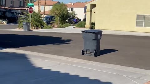 Boy Tossed in Trash Truck