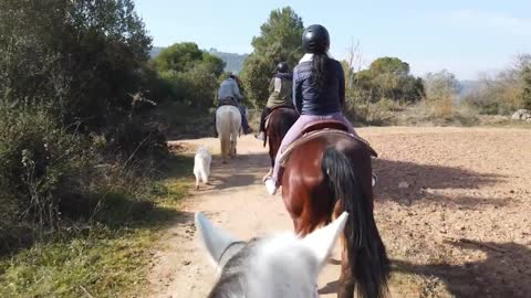Montserrat Horseback Riding