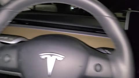 stuck in my Tesla during software update?