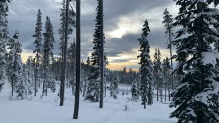 Water Brush Painting Sunrise – Central Oregon – Vista Butte Sno-Park – 4K