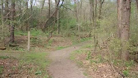 Oakwoods Nature Preserve