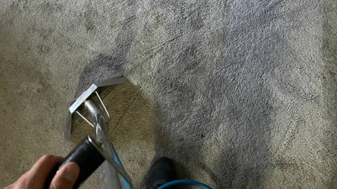 Jetsons Carpet Care | Carpet Cleaning in Woodland Hills, CA