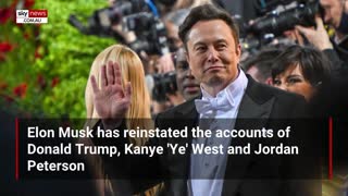 Elon Musk's Twitter takeover' exposing the woke brigade