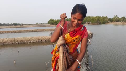 Amazing cast Net Fishing - Traditional Cashing Fish With A Amazing Women.