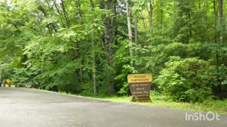 Day 24 - Appalachian Trail 2020 - NC, TN, VA, WV, MD , PA
