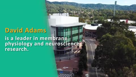 David Adams - Australian Academy of Health and Medical Sciences 2020 Fellow