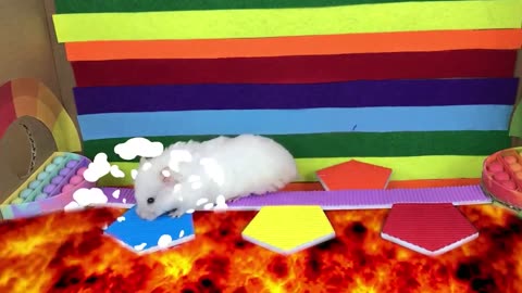 The Best Hamster Challenges 36 - Hamster Escapes from the Most Amazing Mazes 🐹 Mr Hamster