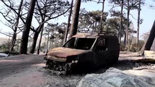 Heat kills 1000 in Portugal as wildfires burn Europe