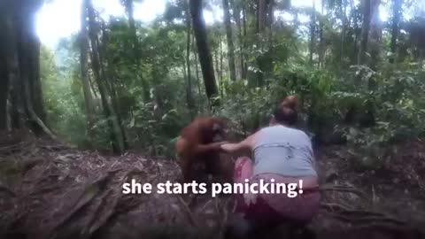 Ape Grabs Young Woman & Refuses To Let Go 😱🦧_Cut