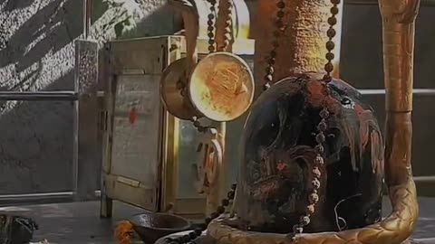 🕉️mahadev 🔱