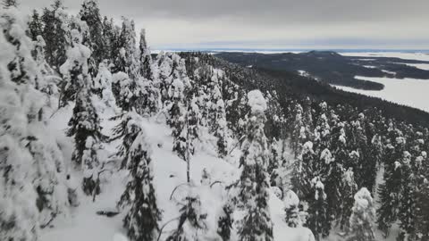 Snowy Forest Finland 4K _ DJI Mavic Air 2 _ Drone Video