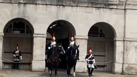 Queen’s Guard Horse Goes Crazy