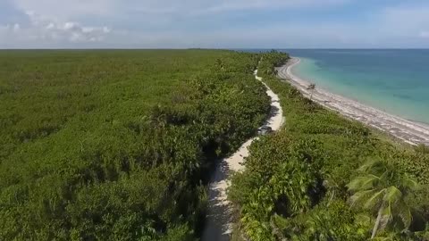 Sea waves & beach drone video | Free HD Vide