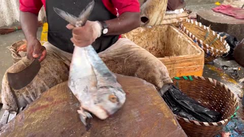 KASIMEDU 🔥 SPEED SELVAM | DIAMOND TREVALLY FISH CUTTING | IN KASIMEDU | HD VIDEO | AMAZING CUTTING 🔪