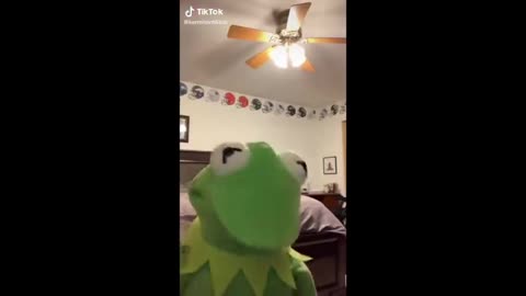 Kermit The Frog Funny Tiktok