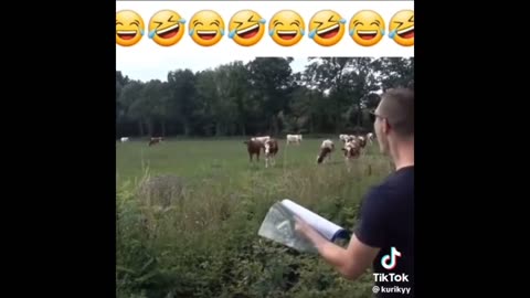 Funny video Tik Tok 😂😂😂