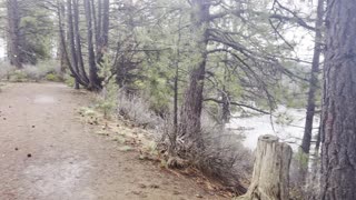 Hiking Along the Epic Deschutes River Trail – Central Oregon – 4K