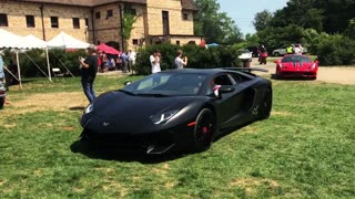 Running of the Bulls - Lamborghini