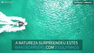 Wakeboarders surfam com golfinhos