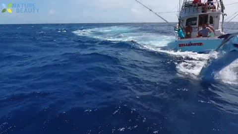 Amazing Fishing Skills, Catching Big Tuna In The Open Sea