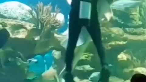 Diver hugging and dancing with fish